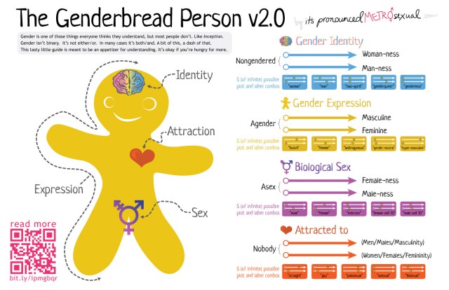 Genderbread-2.1 (1)